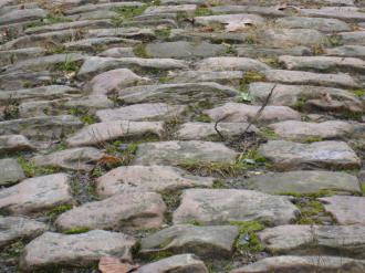  The Arenberg Forest cobbles, photo by ...