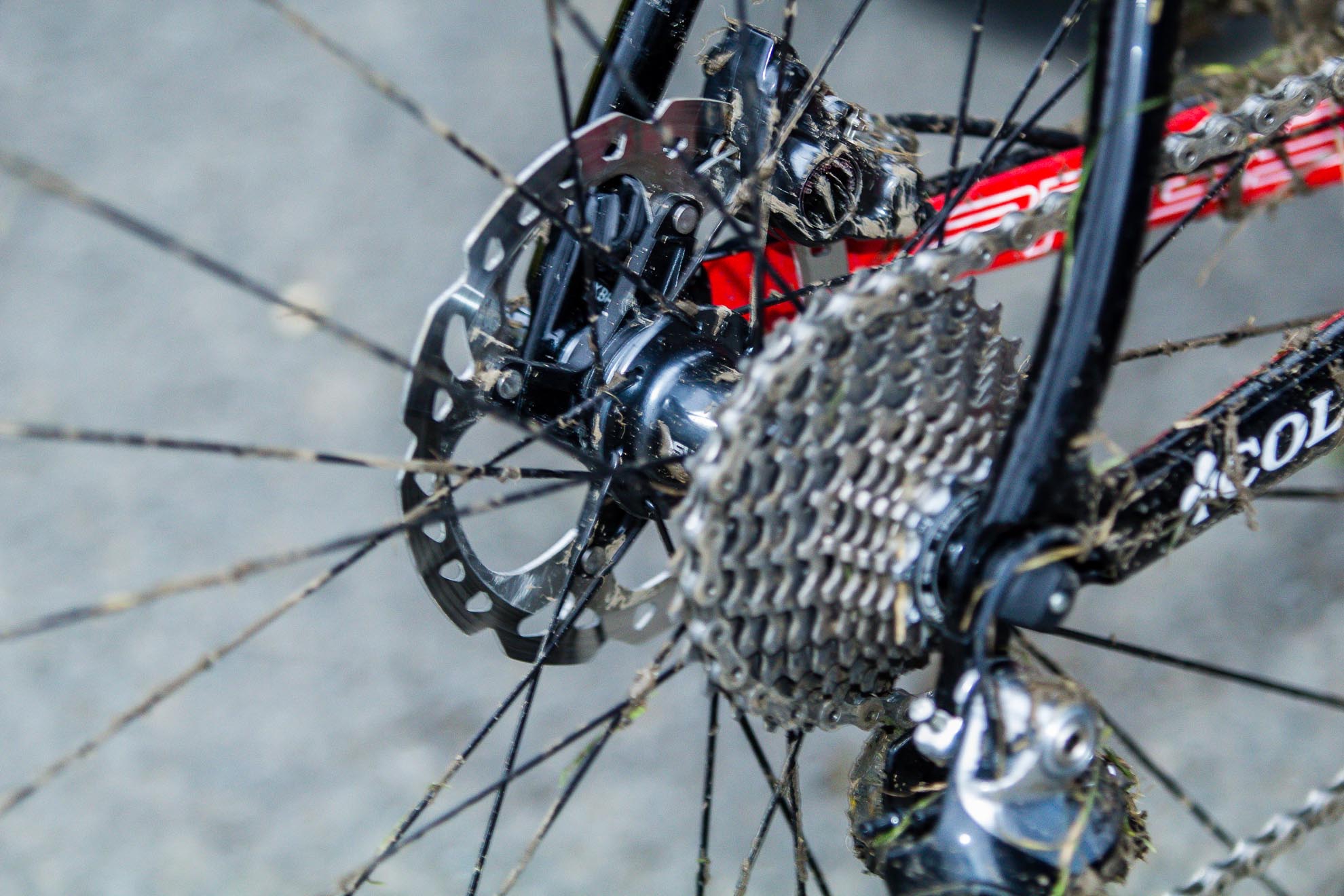cycle with disk brake