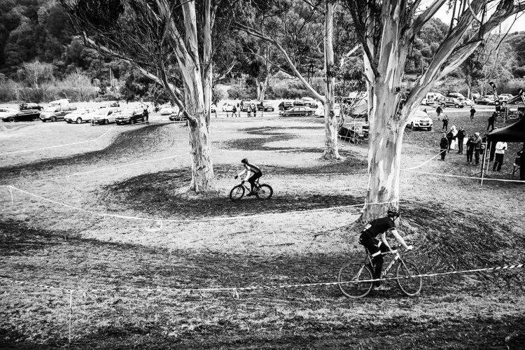 New Zealand's 2016 Cyclocross National Championships circled the trees, but didn't damage any heritage specimens. © Digby Shaw