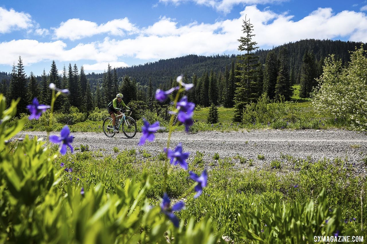 The flowers were in bloom along parts of the route. 2019 Oregon Trail Gravel Grinder. © Adam Lapierre