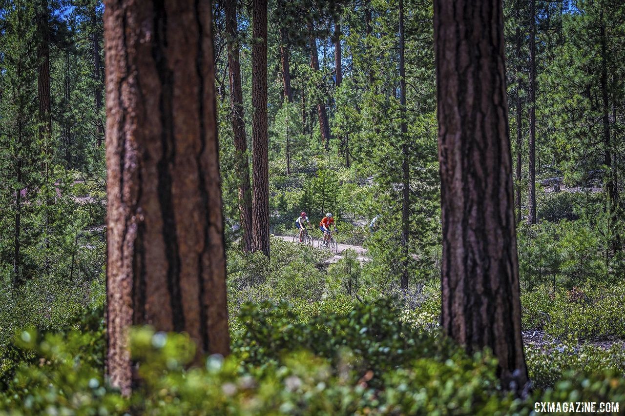 Riders weave through the trees. 2019 Oregon Trail Gravel Grinder. © Adam Lapierre