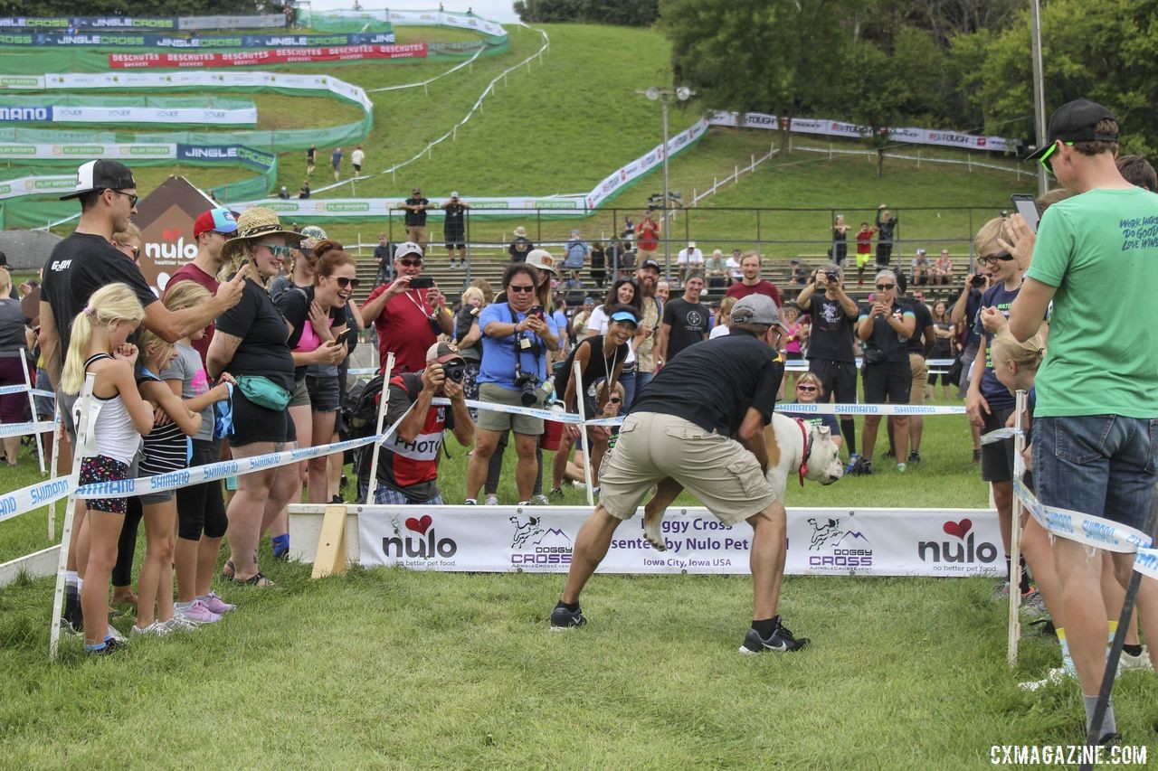 The barriers drew a crowd. 2019 Doggie Cross, Jingle Cross World Cup. © Z. Schuster / Cyclocross Magazine 