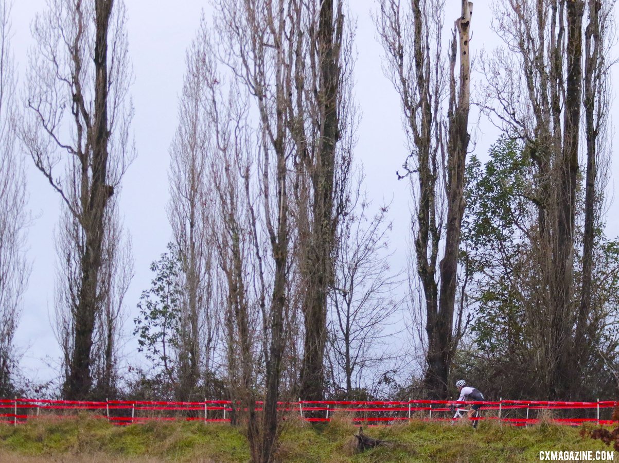 Eric Brunner rides past a row of towering poplar trees on as he enters the upper part of the course. Collegiate Club Men. 2019 Cyclocross National Championships, Lakewood, WA. © D. Mable / Cyclocross Magazine