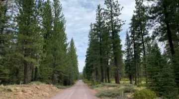 Susanville and the gravel roads near Lassen National Park await cyclists on September 9. photo: courtesy