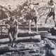 The 1984 USCF Cyclocross Nationals was held on the UCSC campus in Santa Cruz and won by Steve Tilford. Photo from Feb 1985 Velonews.